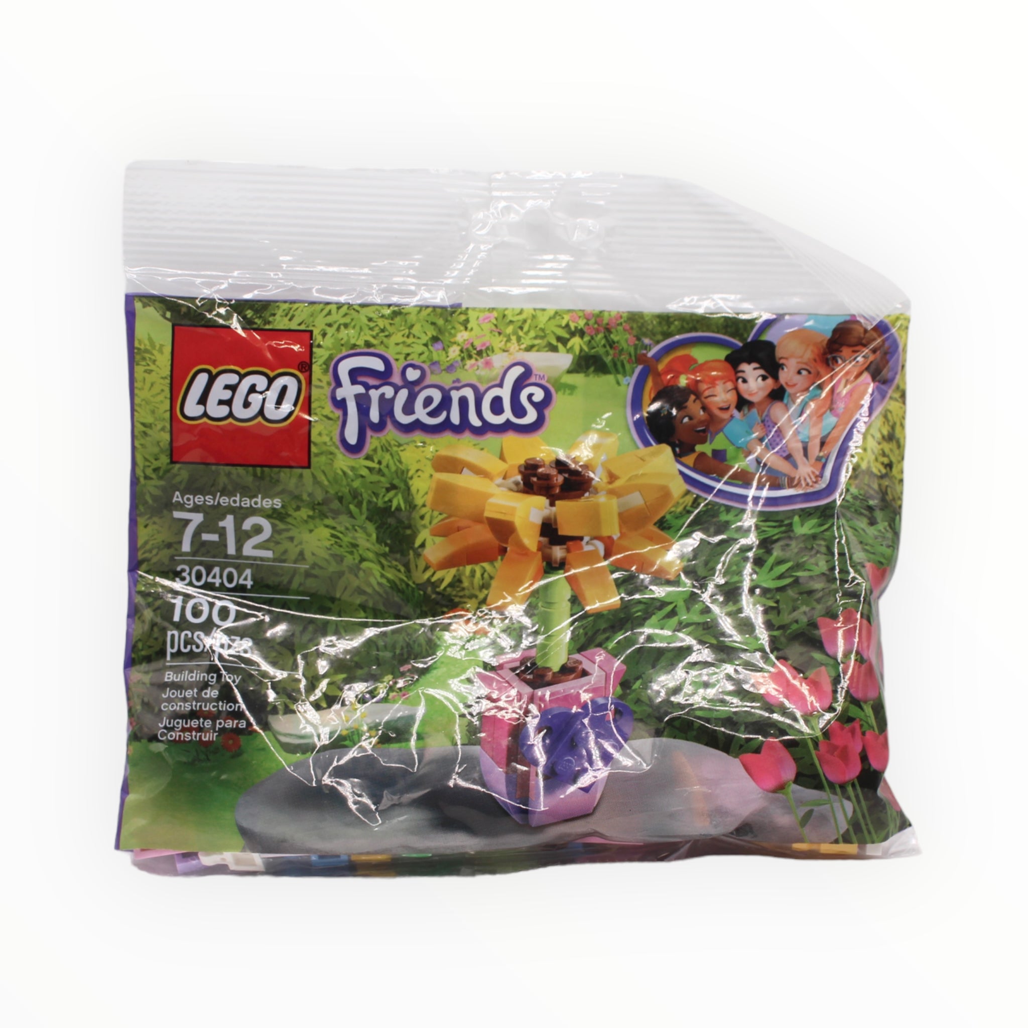 Lego friends online 30404