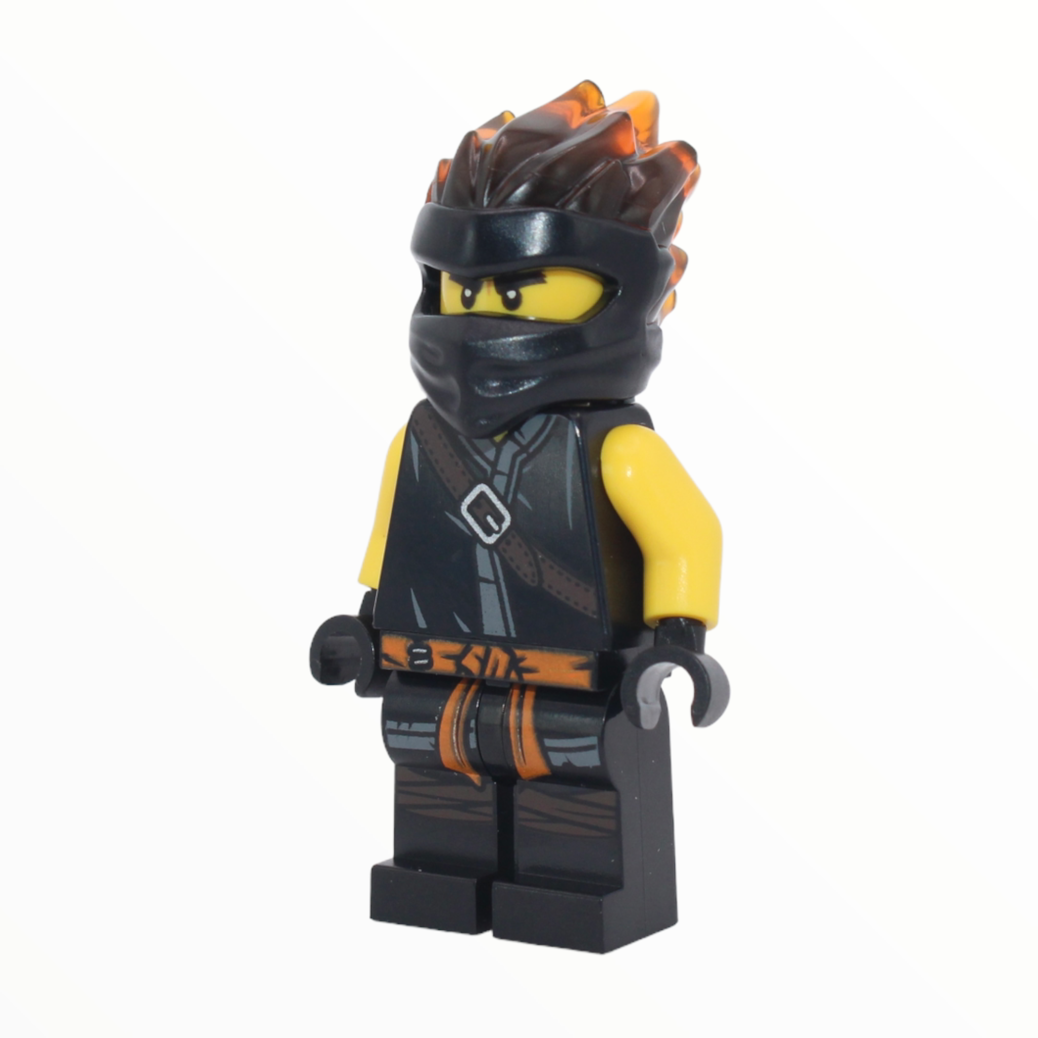 Cole 2025 fs ninjago