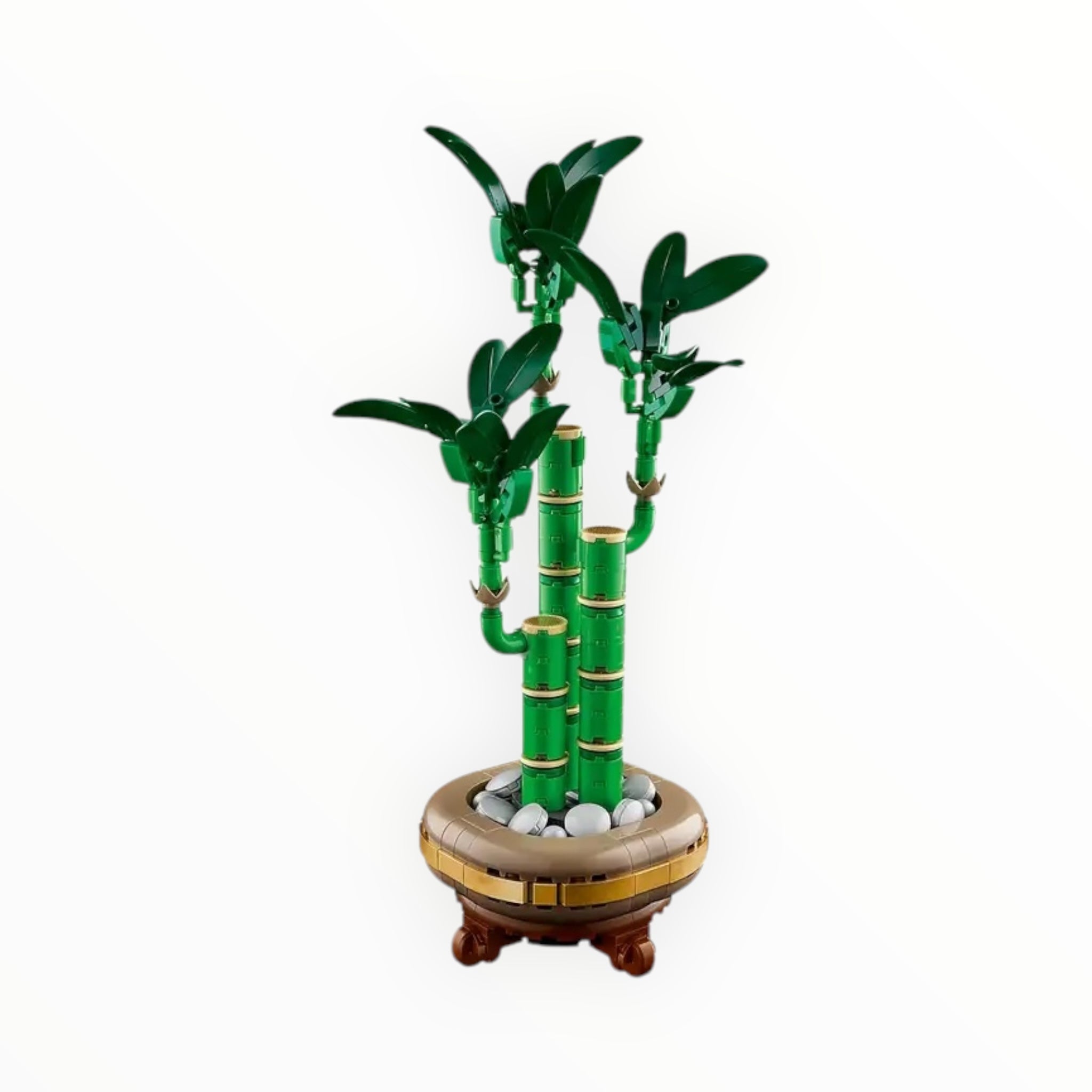 10344 Botanicals Lucky Bamboo