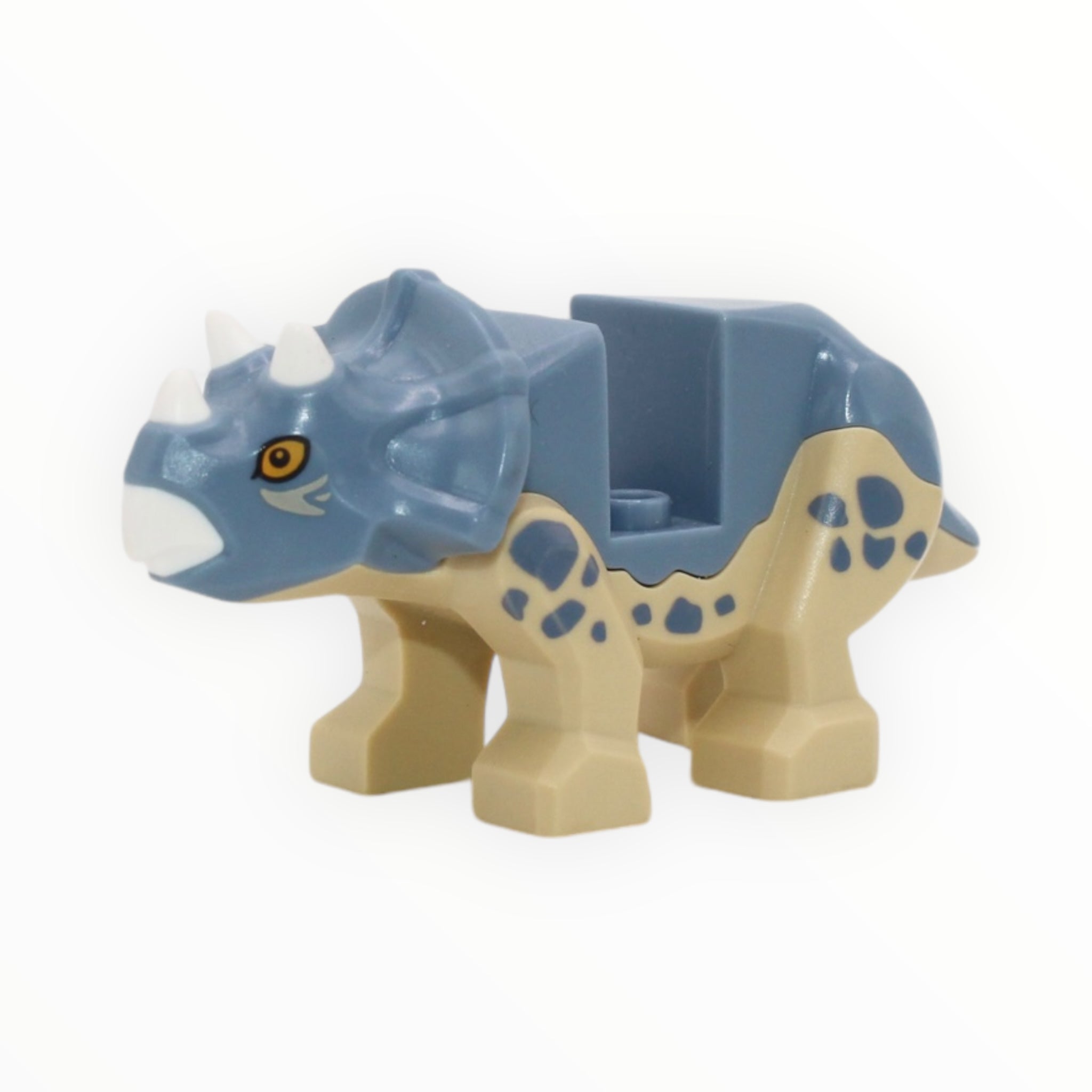 Baby Triceratops (sand blue back)