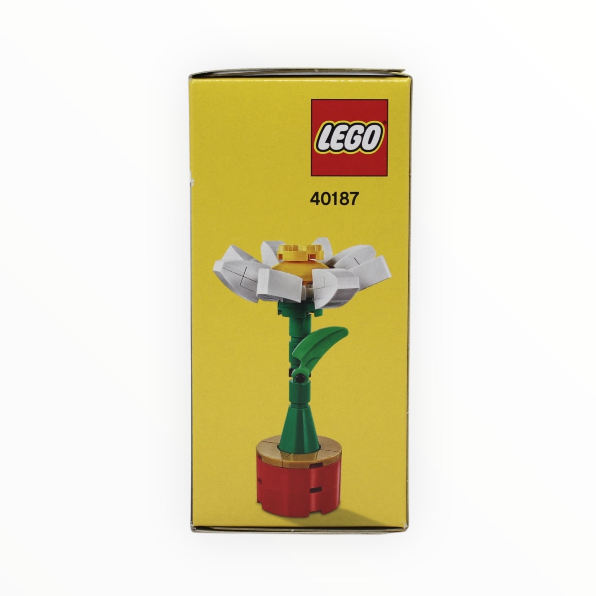 Retired Set 40187 LEGO Flower Display