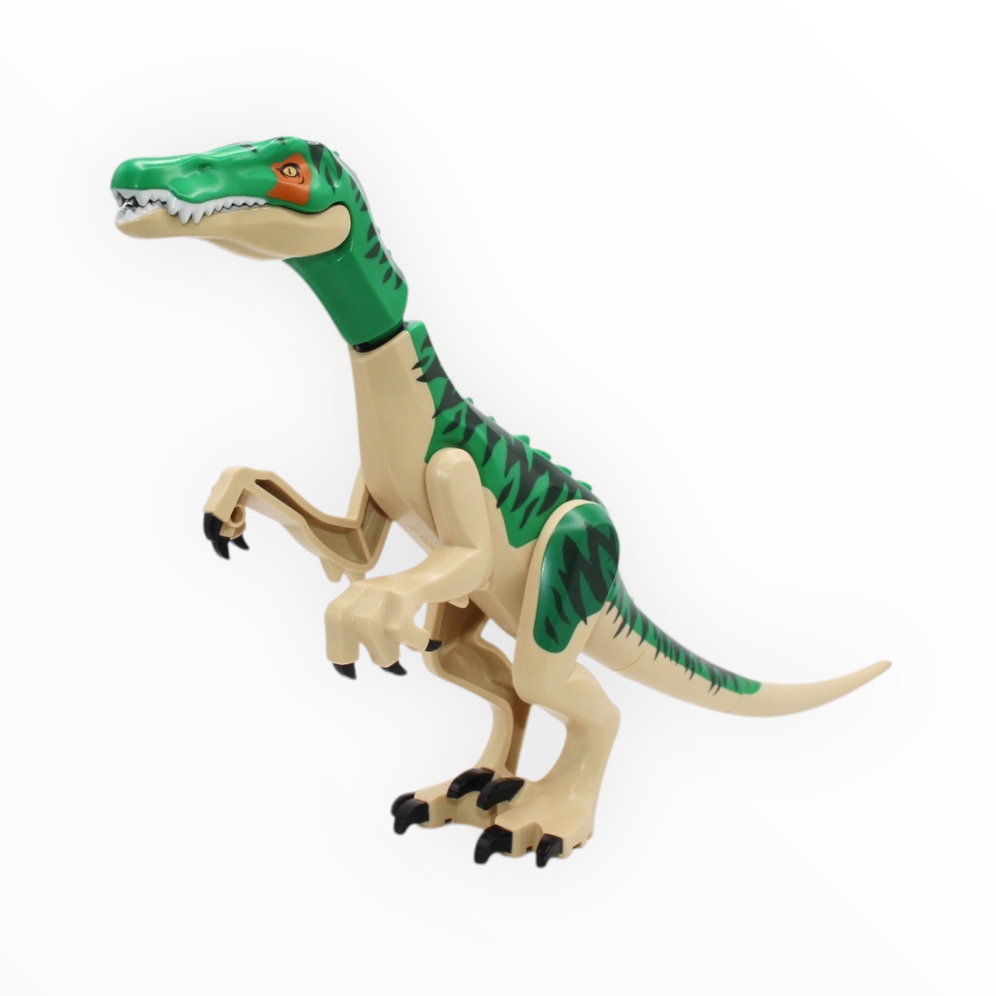 Baryonyx (green with tan underbelly)