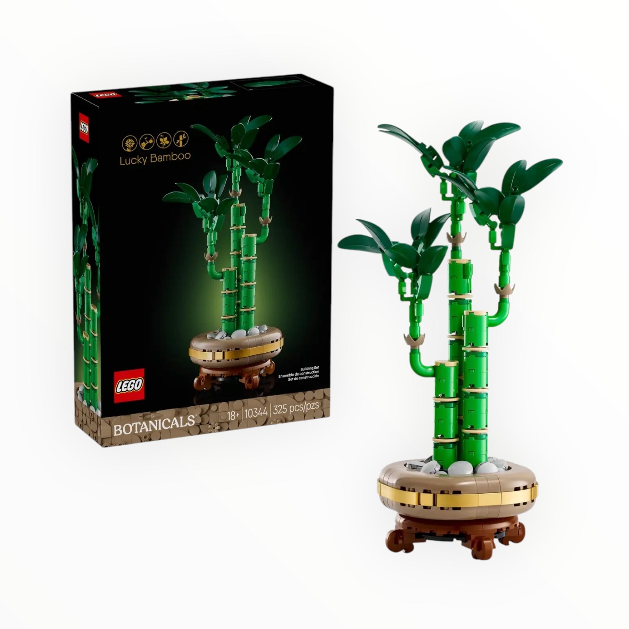 10344 Botanicals Lucky Bamboo