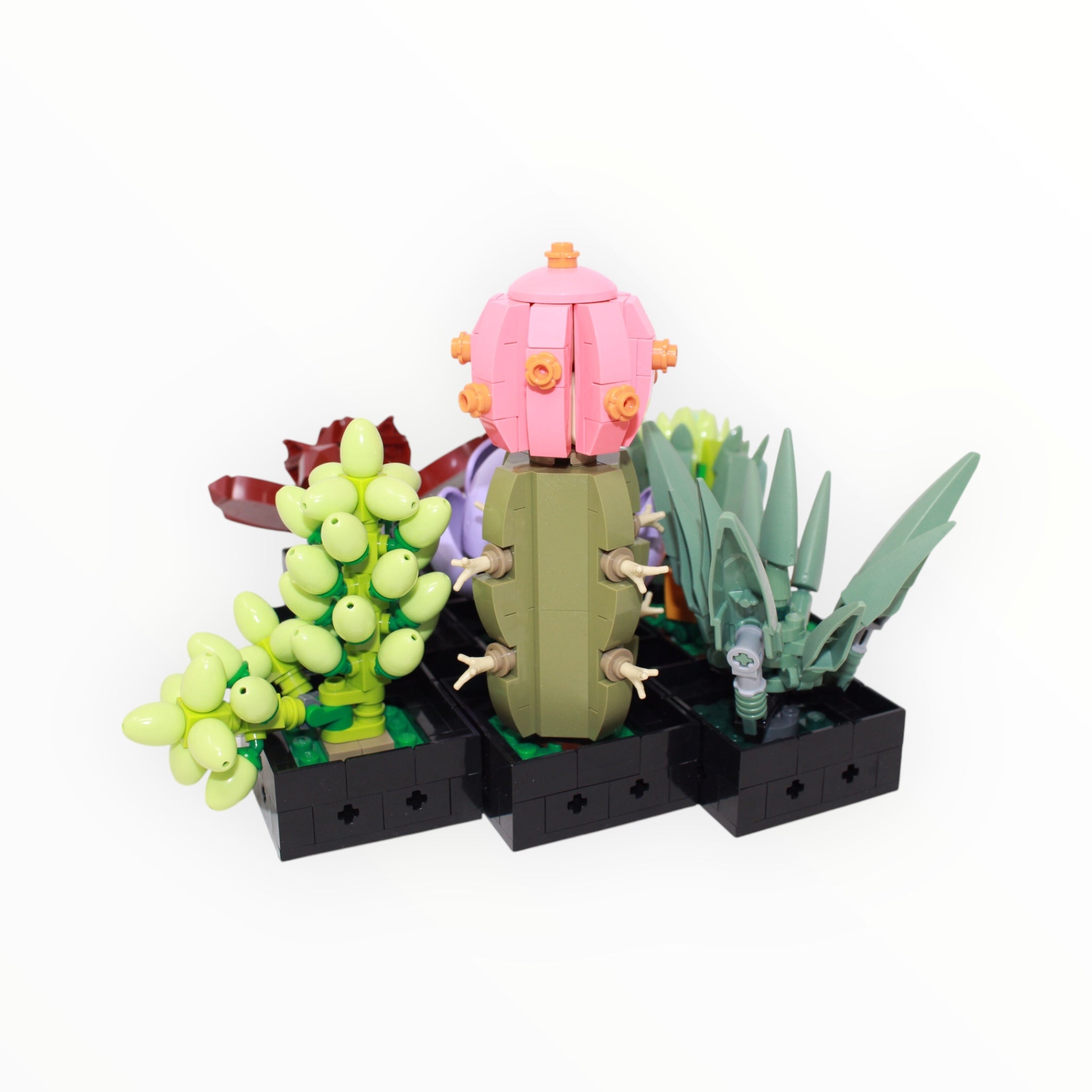 Used Set 10309 Botanical Collection Succulents