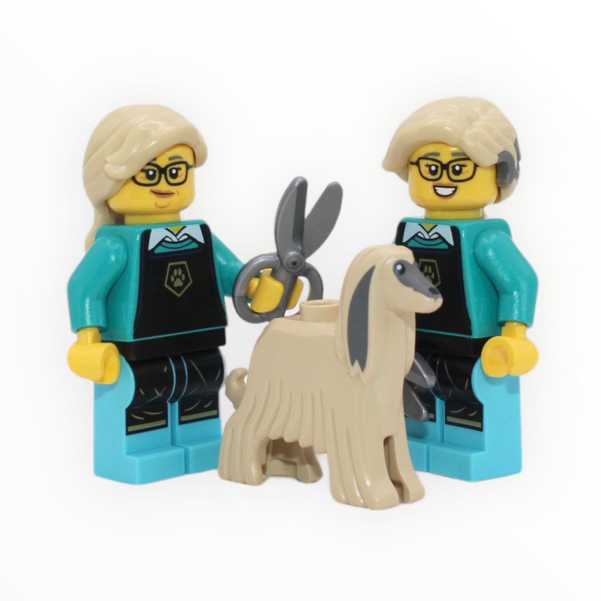 LEGO® Pet Groomer Series 25 Minifigure 71045 – Brick Overload