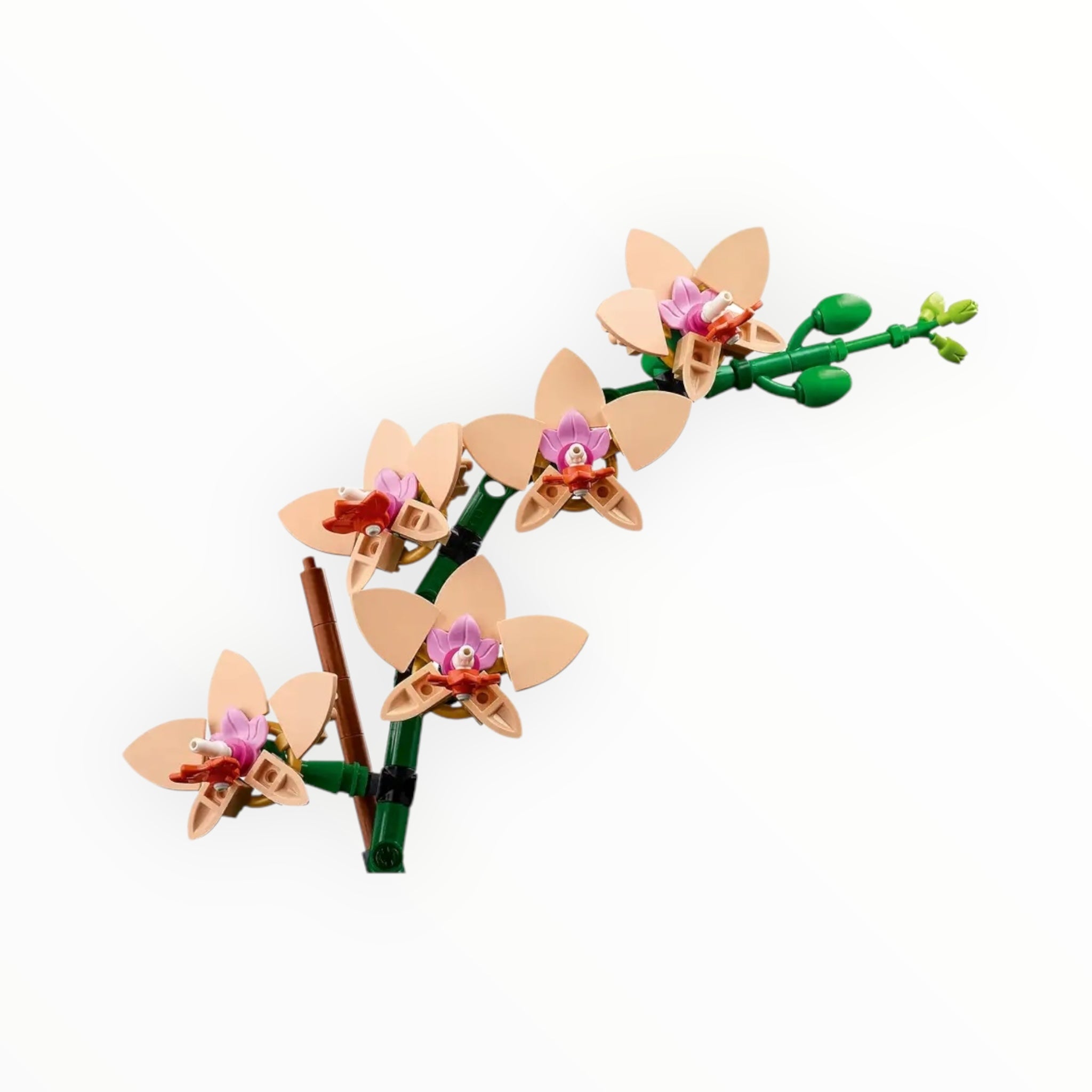 10343 Botanicals Mini Orchid