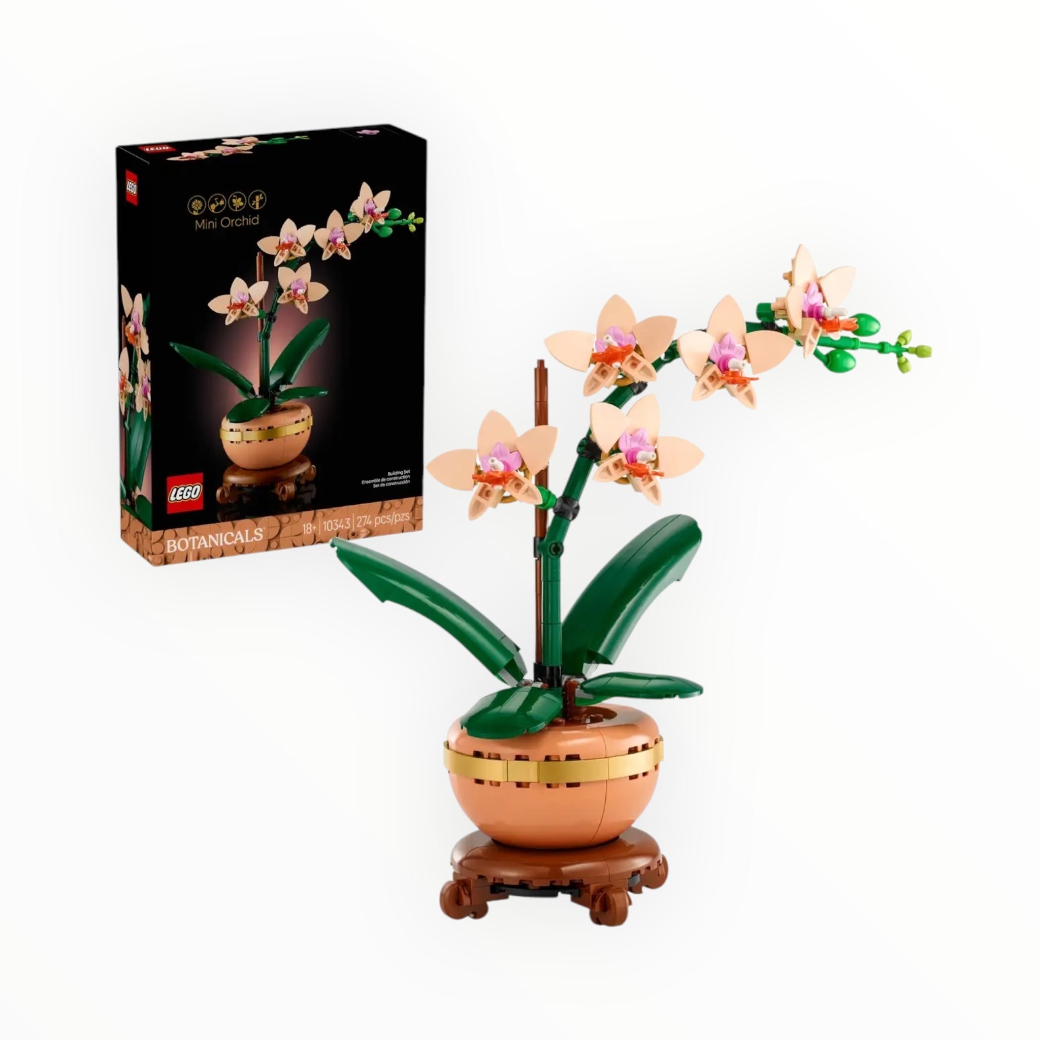 10343 Botanicals Mini Orchid