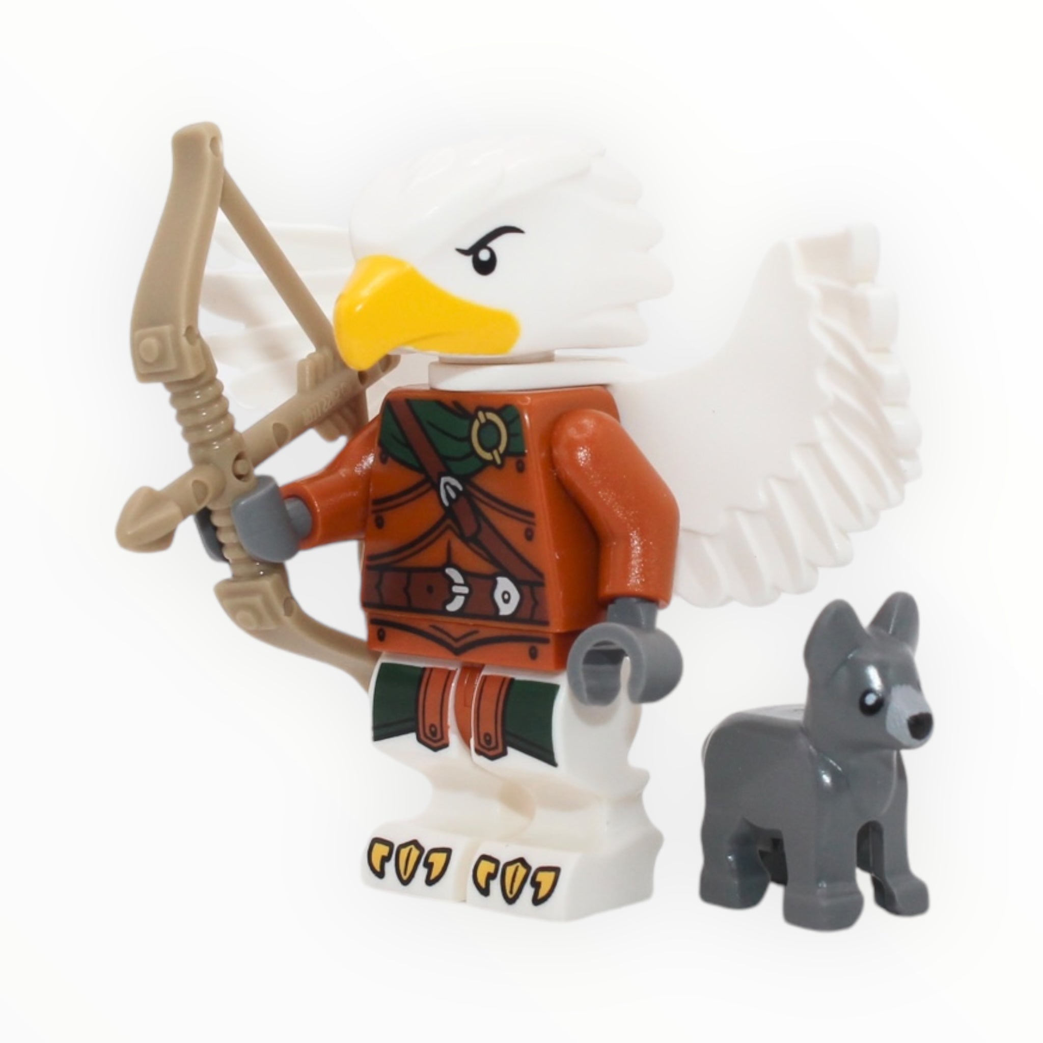 Dungeons & Dragons Series: Aarakocra Ranger