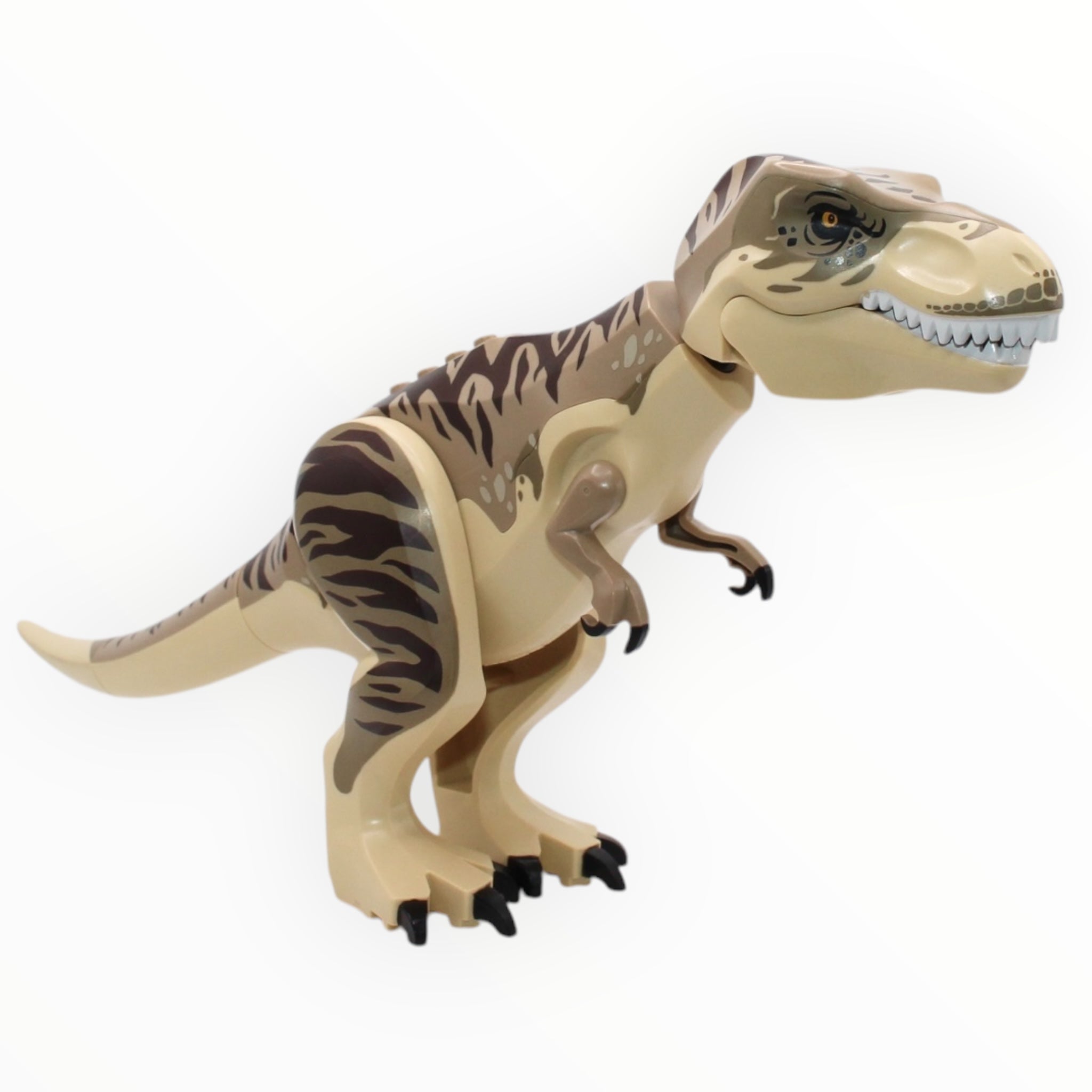 Tyrannosaurus rex (dark tan and tan underbelly)