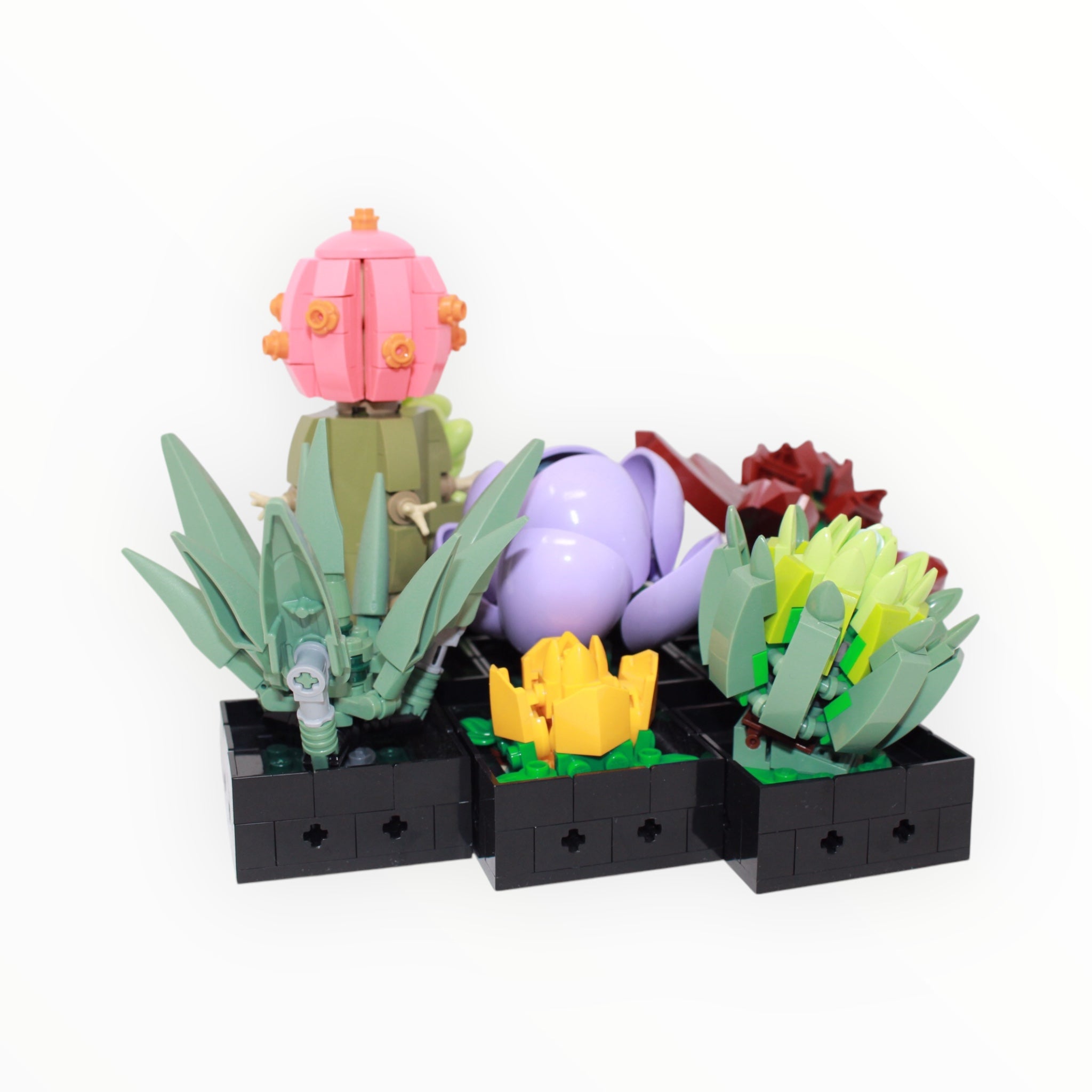 Used Set 10309 Botanical Collection Succulents