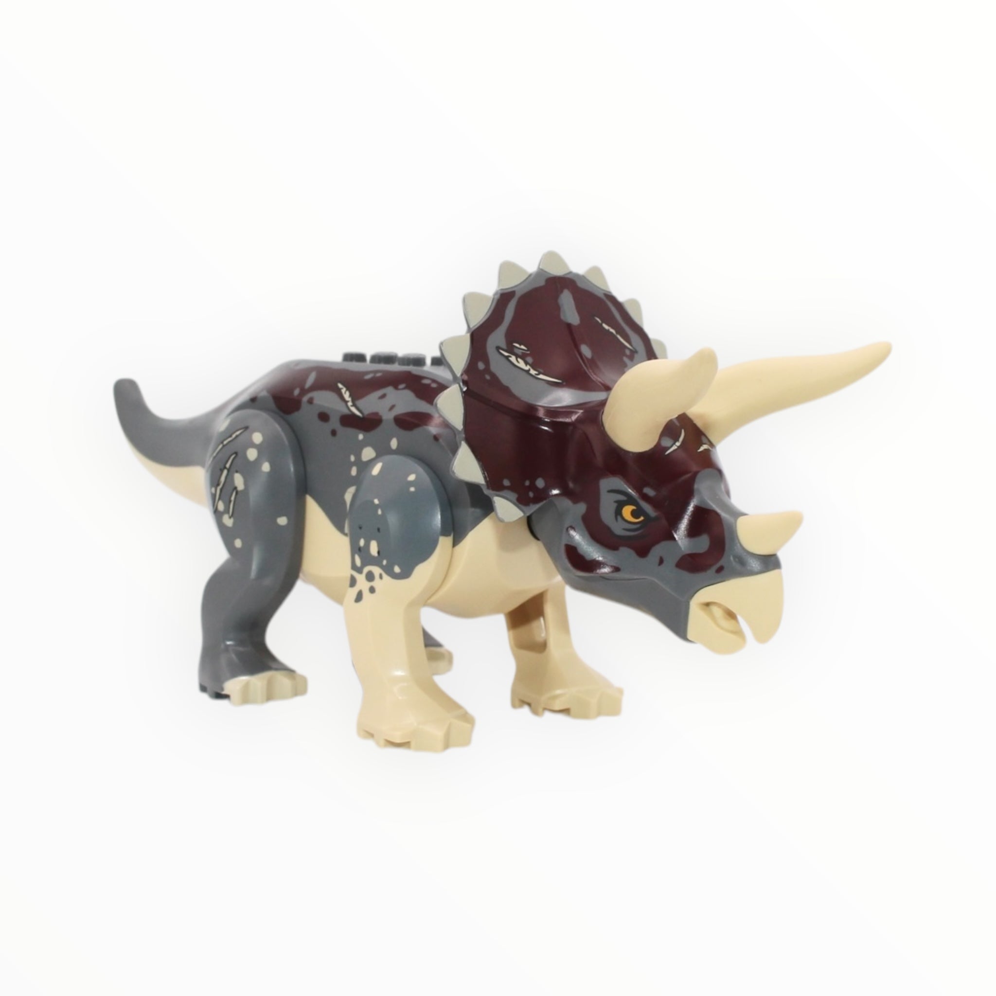 Triceratops (dark bluish gray with tan underbelly)