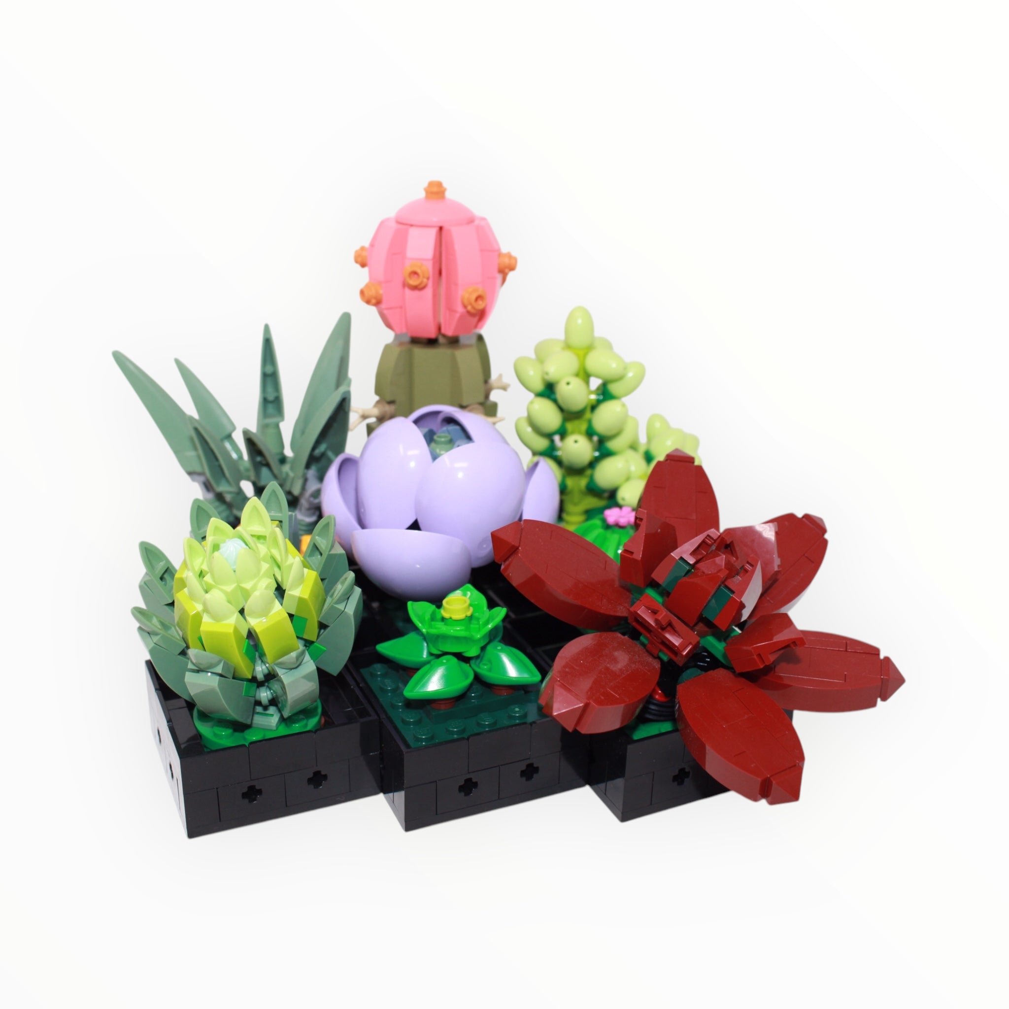 Used Set 10309 Botanical Collection Succulents