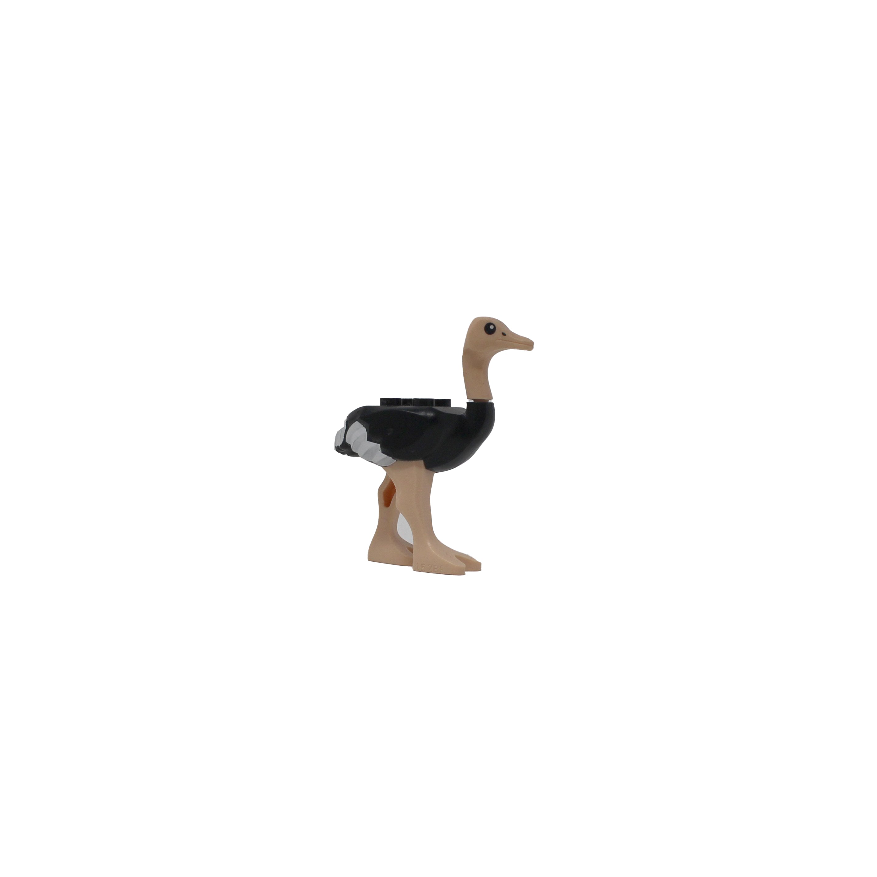 Ostrich