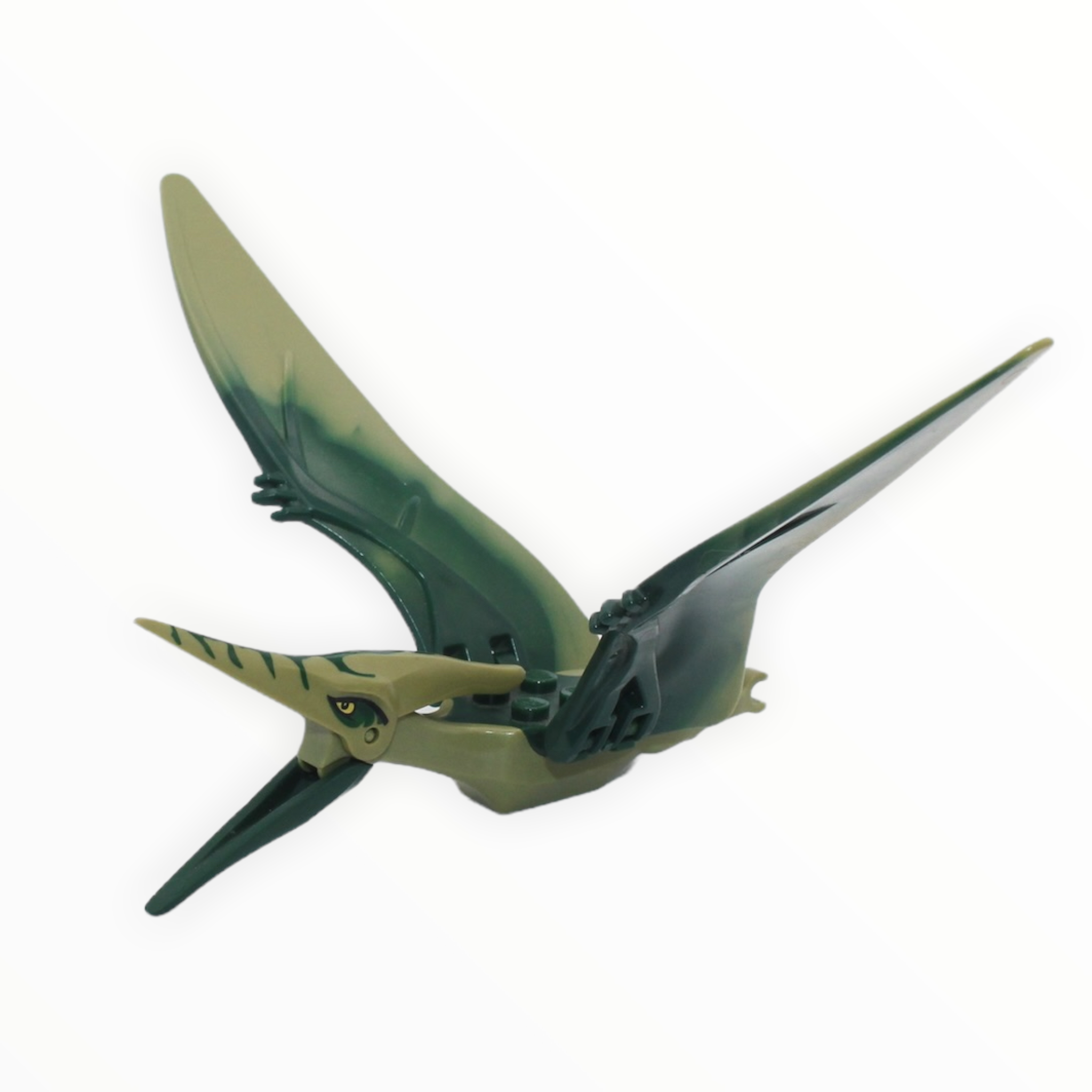 Olive Green Pteranodon (dark green back)