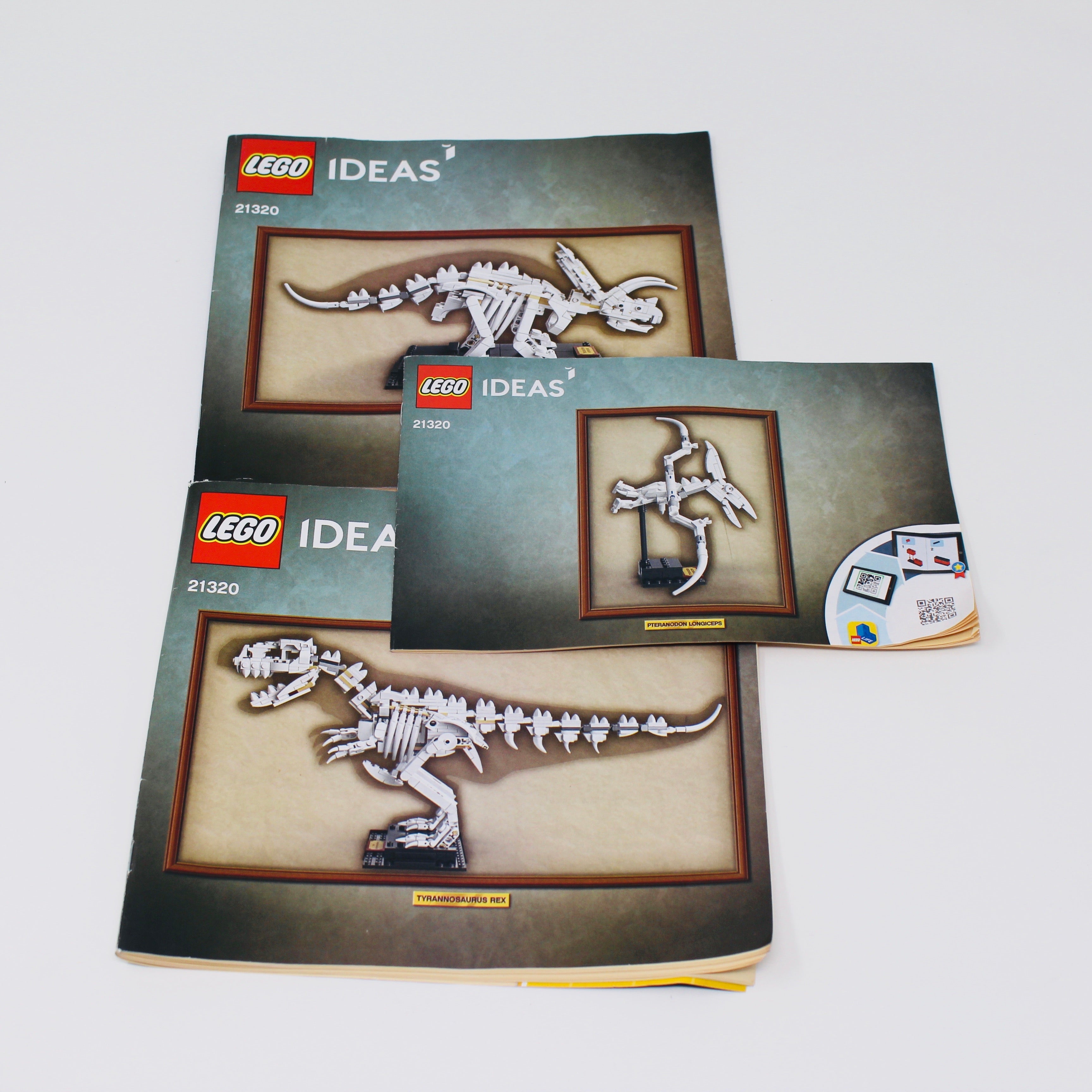 Ideas 21320 hot Dinosaur Fossils RETIRED SET