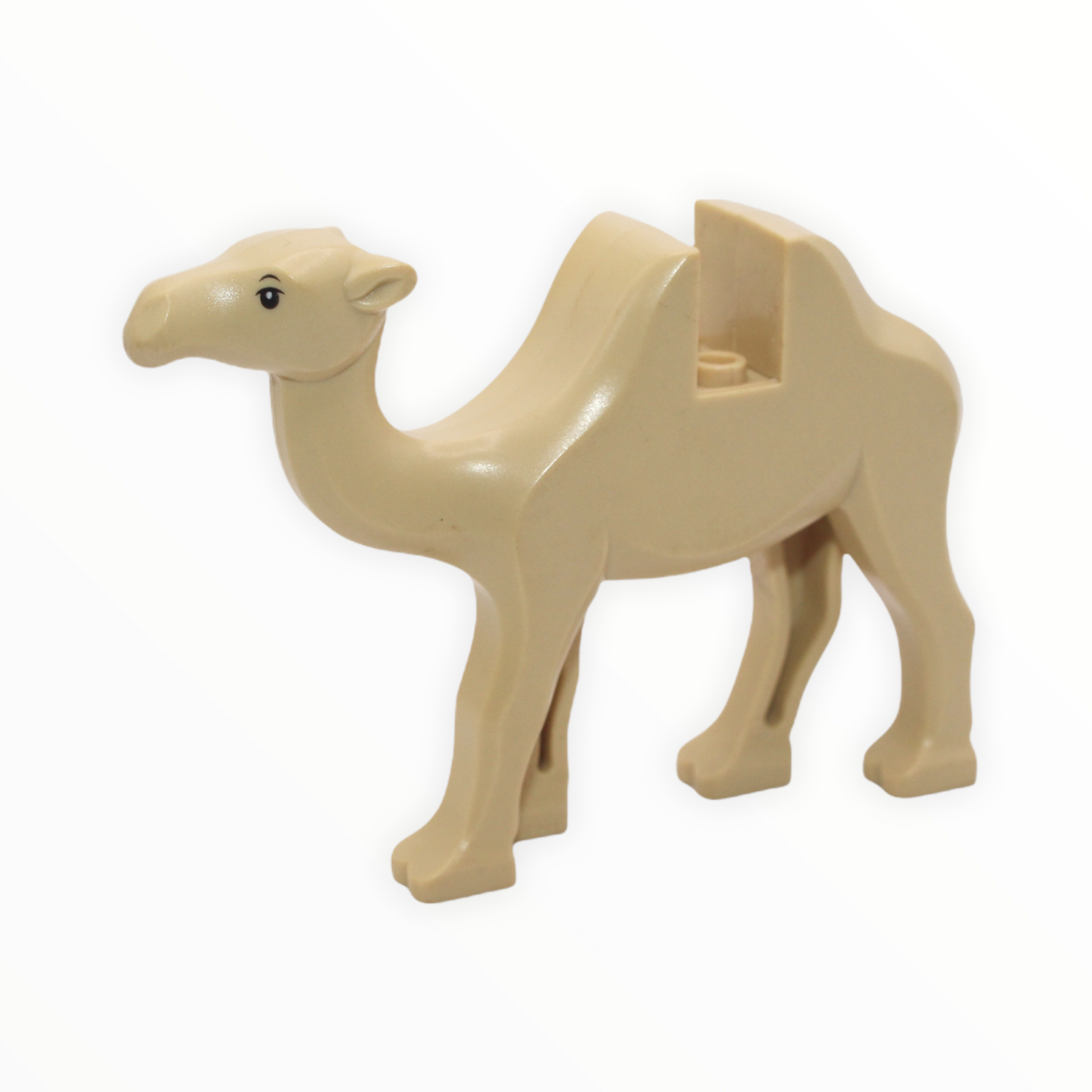 Tan Camel