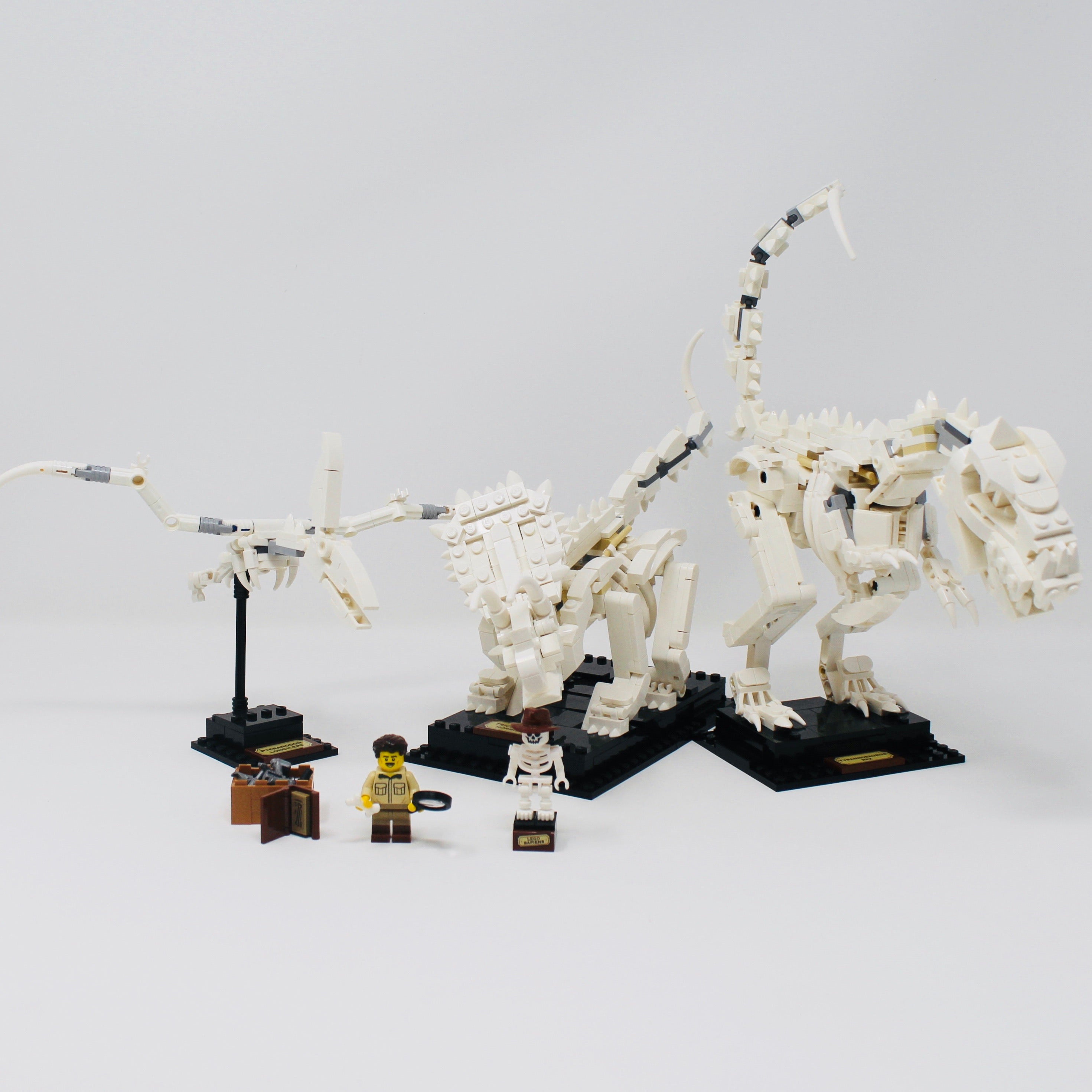 Used Set 21320 LEGO Ideas Dinosaur Fossils